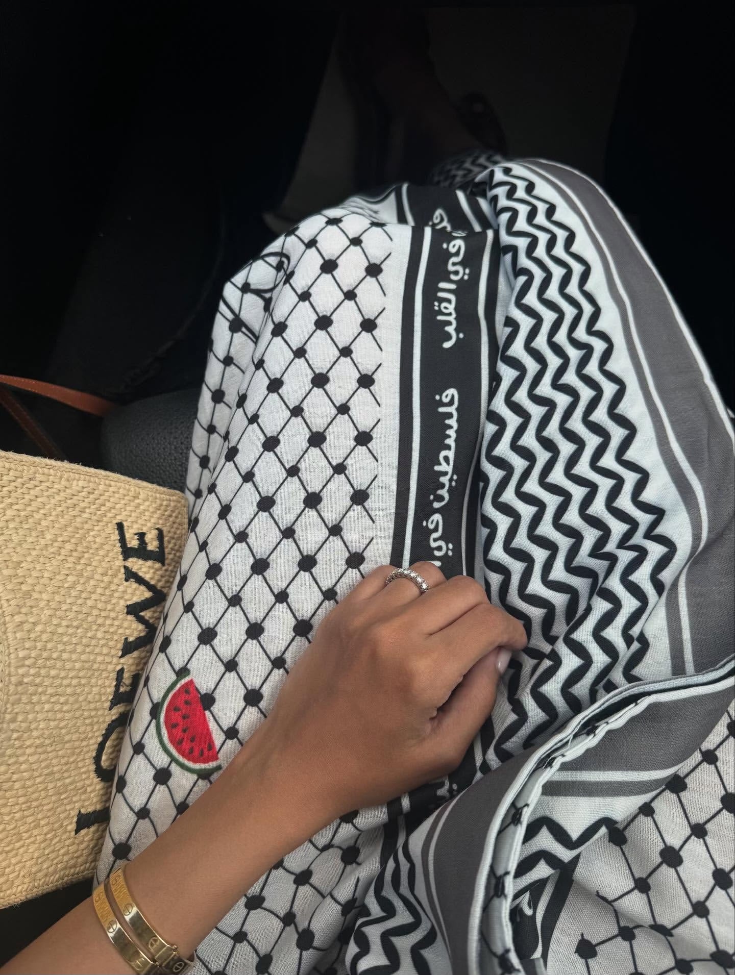 فلسطين في القلب SKIRT